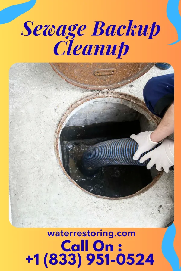 Sewage Backup Cleanup in Fredericksburg, VA